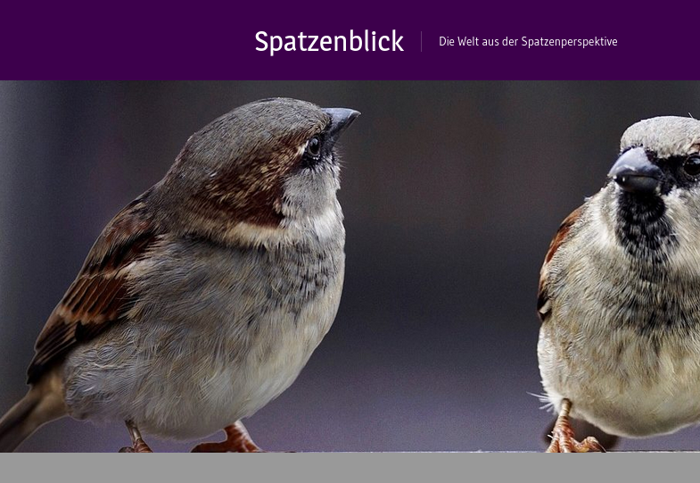 Spatzenblick